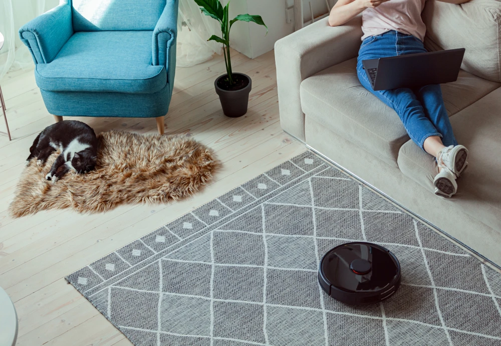 robot vacuum cleaner for small apartment